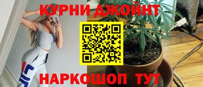 стаф Можга