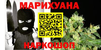 стаф Можга