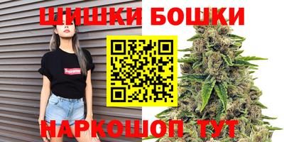 стаф Можга