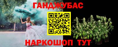 стаф Можга