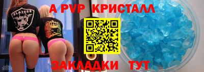 стаф Можга