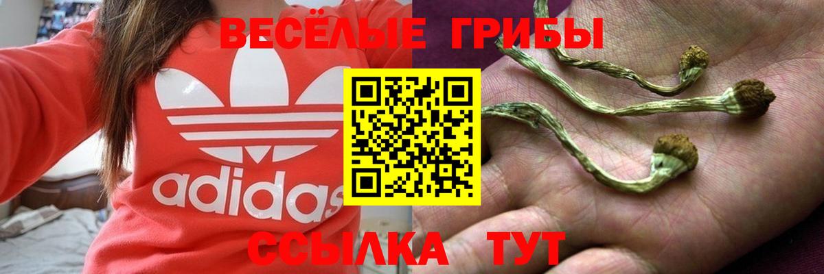 Галлюциногенные грибы мухоморы  наркошоп  Чебоксары  Вход с VPN 
